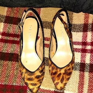 The Limited Women's Leopard Print Heels